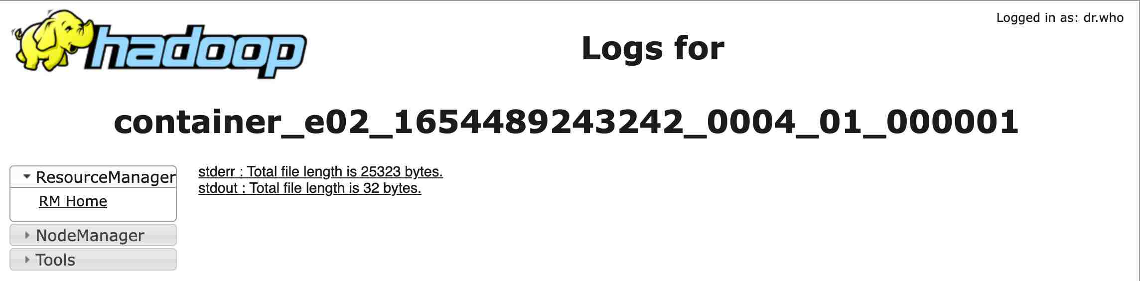 spark logs